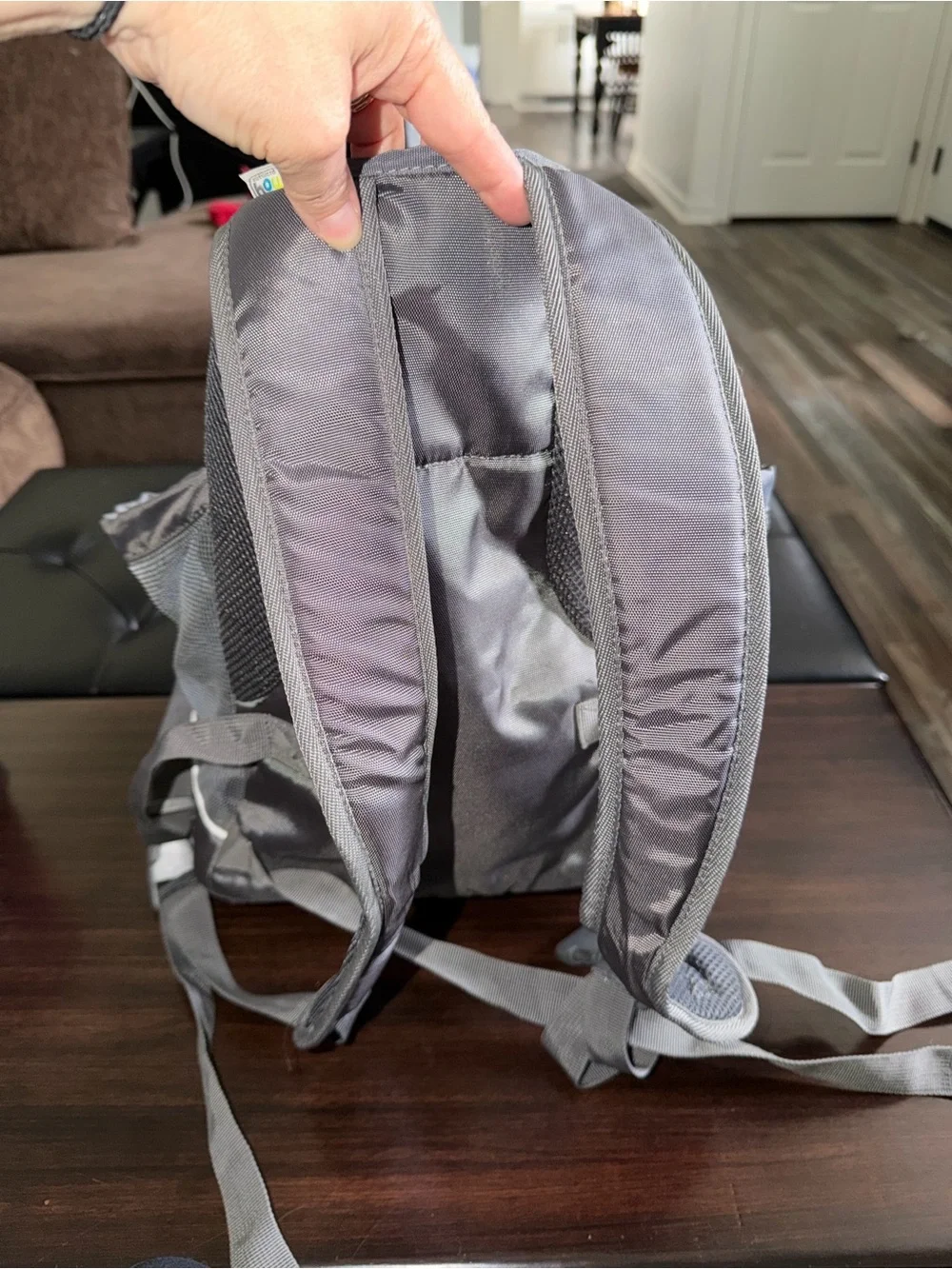 Outward Hound Gray Pet Travel Backpack Carrier